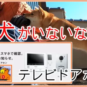 インターフォンの交換費用はどれくらい？相場を紹介のサムネイル